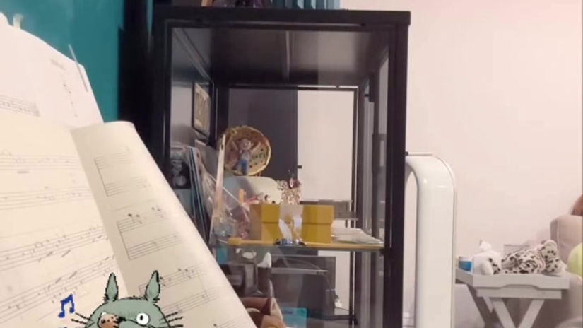 Luna: My Neighbour Totoro - Joe Hisaishi